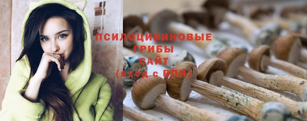 гидра Краснотурьинск