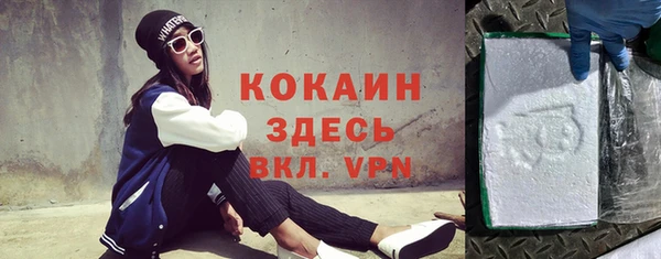 ПСИЛОЦИБИНОВЫЕ ГРИБЫ Корсаков
