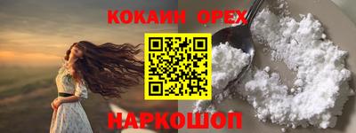 гидра Будённовск