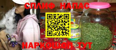 гидра Будённовск