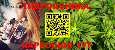 гидра Будённовск