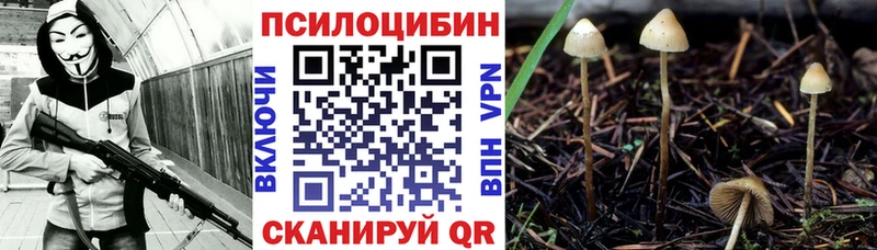 Галлюциногенные грибы Psilocybine cubensis  как найти закладки  Казань 